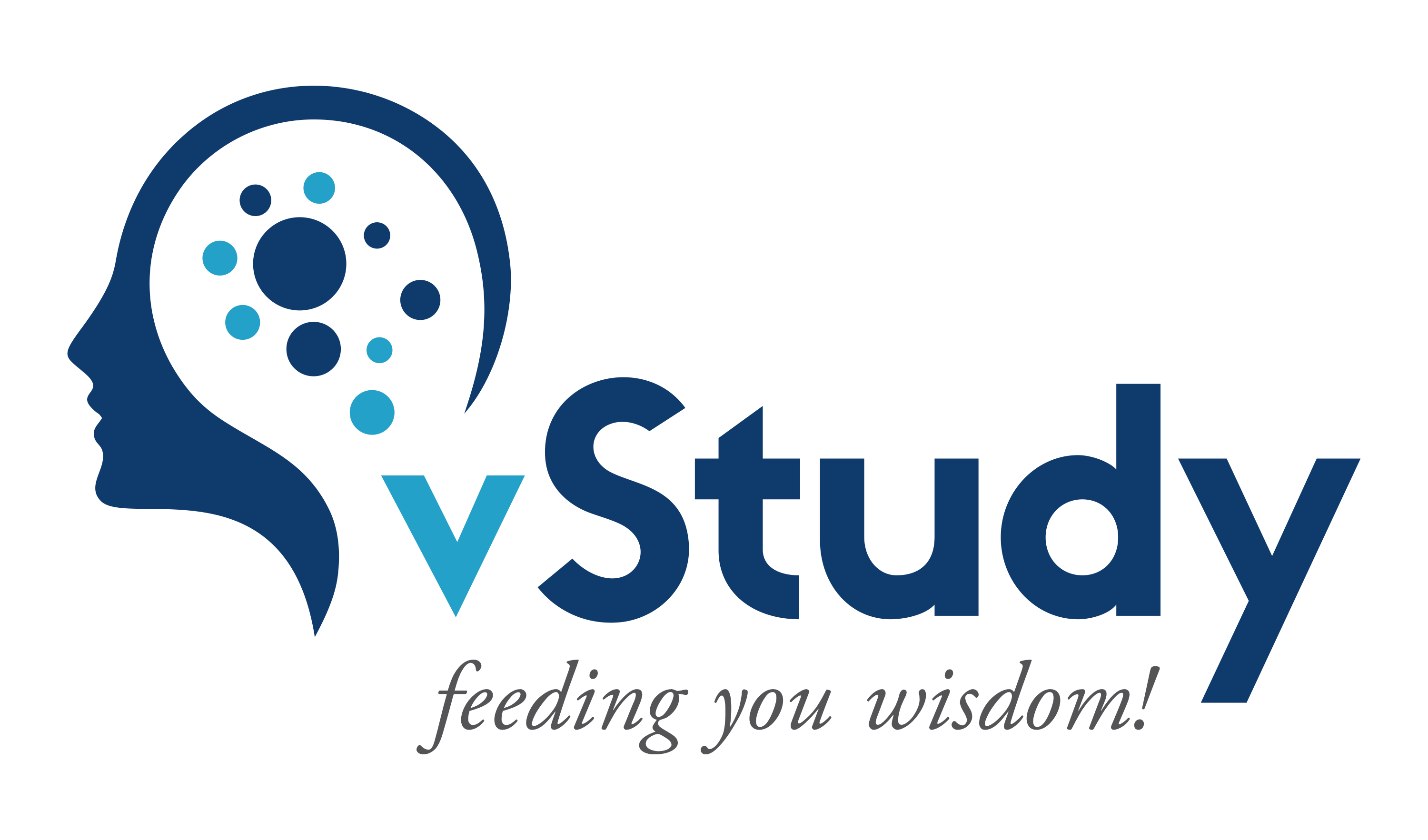 VSTUDY | FEEDING WISDOM